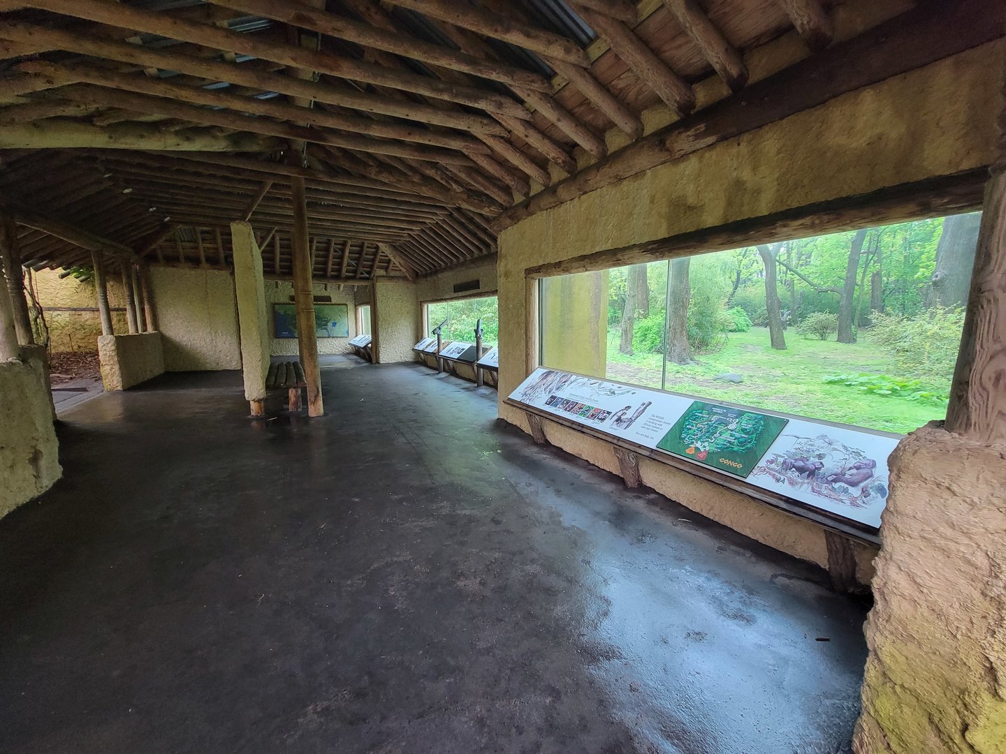 Bronx - Congo, "Forest Edge View" (not part of the extra fee area)