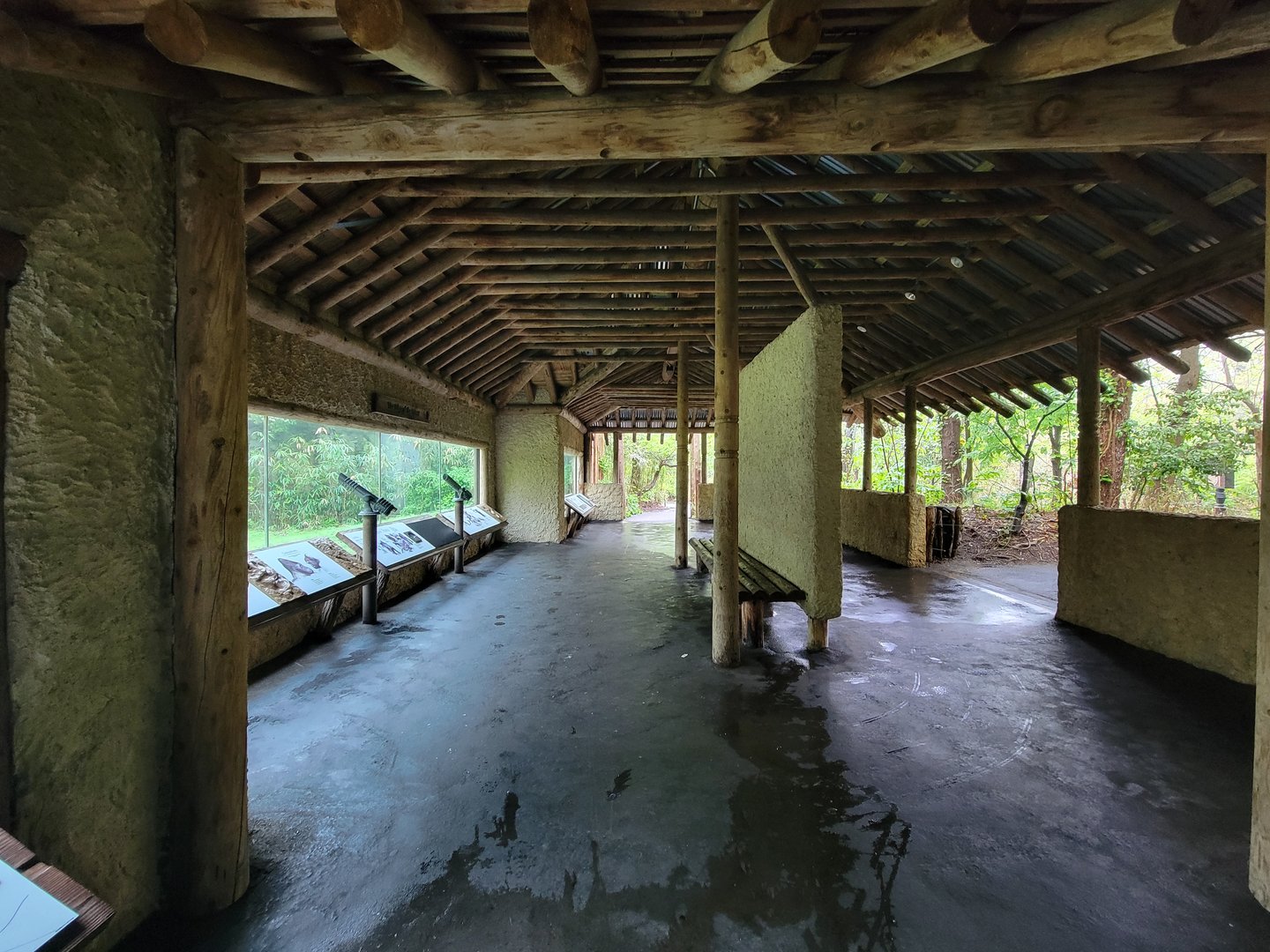 Bronx - Congo, "Forest Edge View"