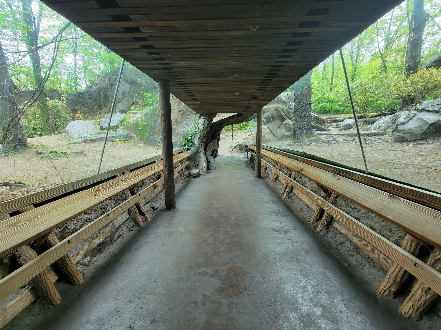 Bronx - Congo, Gorilla Encounter walkway