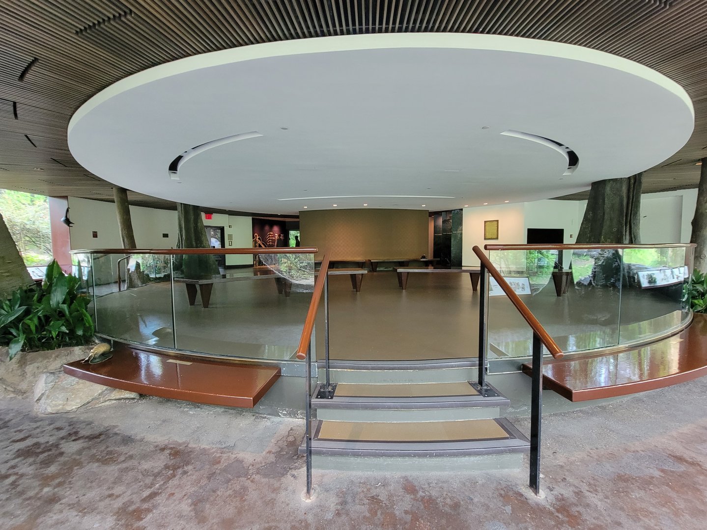 Bronx - Congo, Great Apes Gallery rotunda