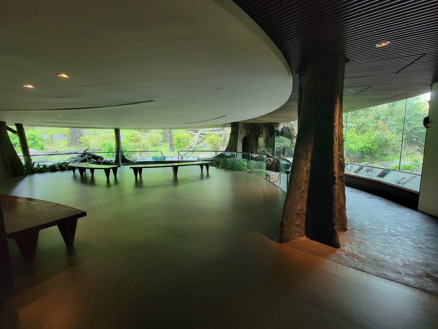 Bronx - Congo, Great Apes Gallery rotunda