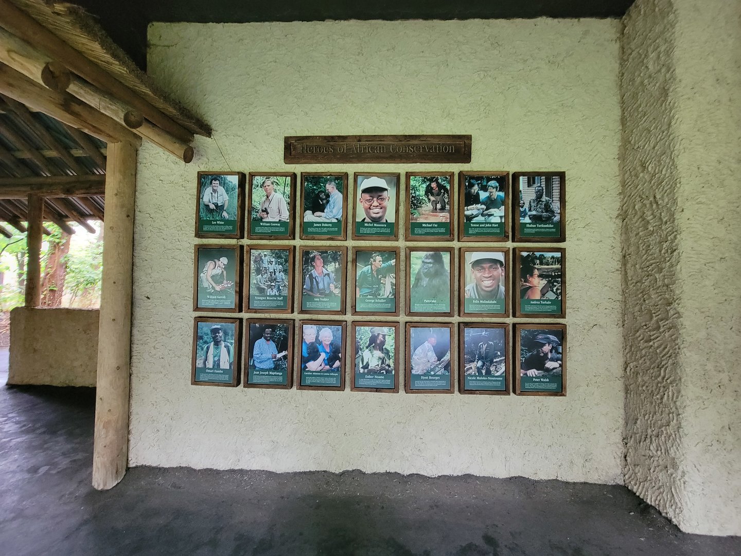 Bronx - Congo, Heroes of African Conservation, in "Forest Edge View"