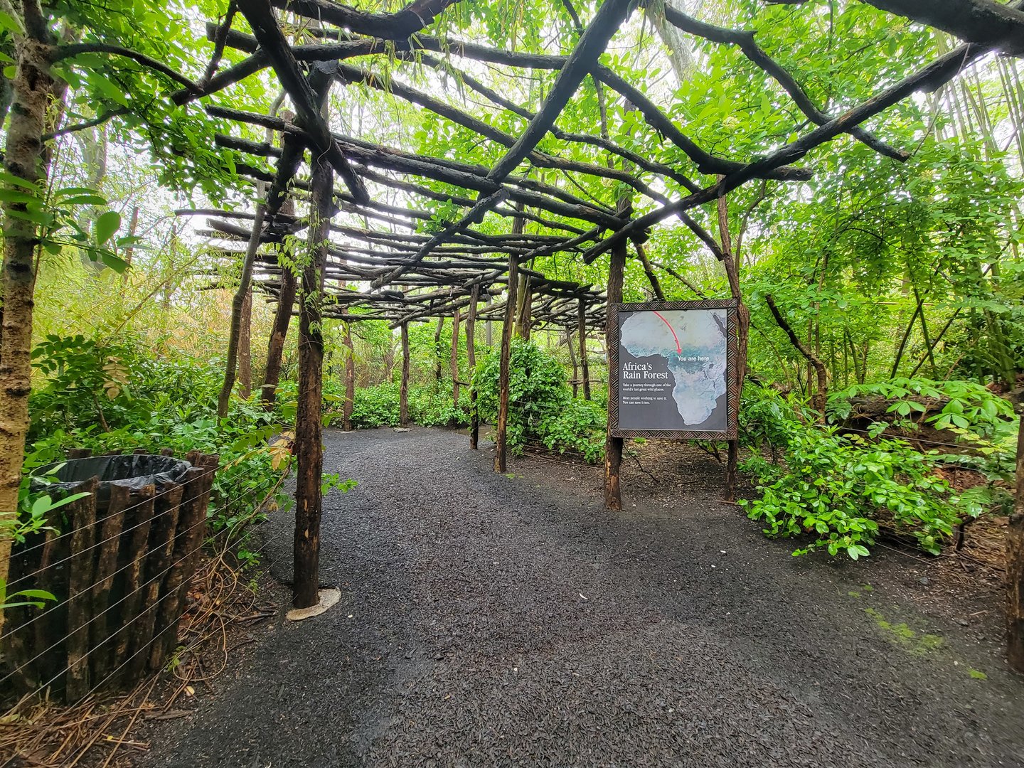 Bronx - Congo, Inside entrance