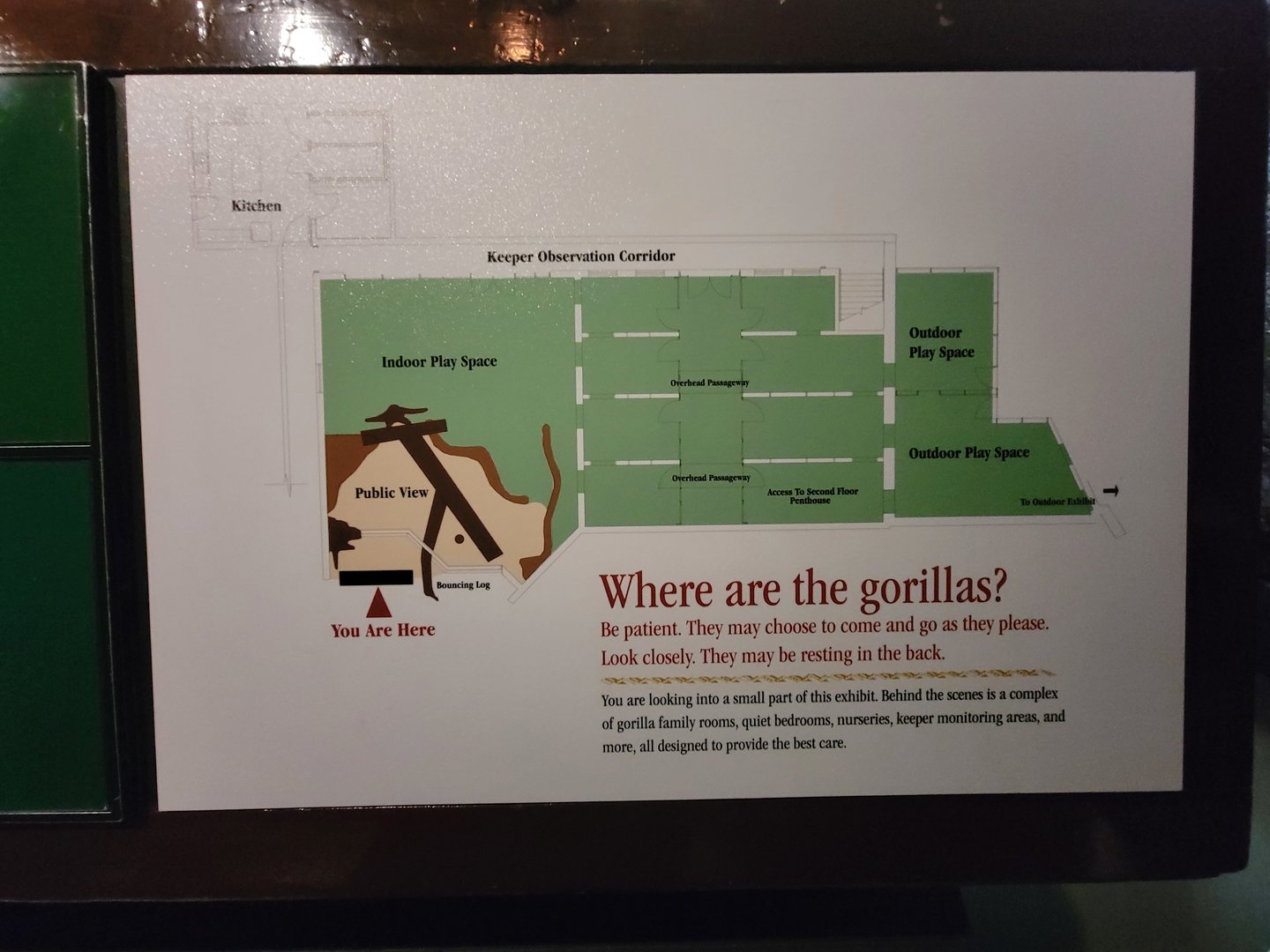 Bronx - Congo, map of indoor gorilla areas