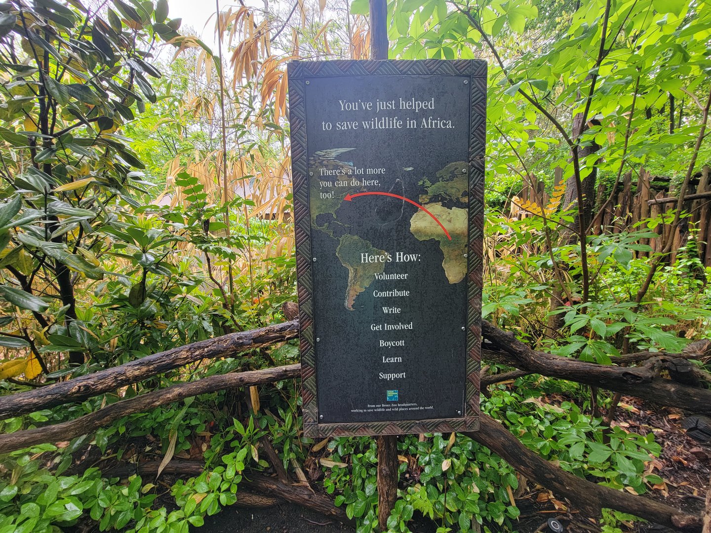 Bronx - Congo, path to exit