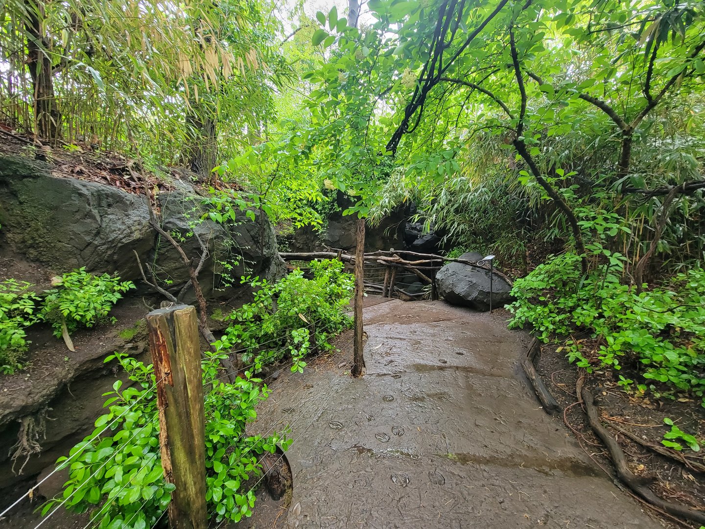 Bronx - Congo, pathway