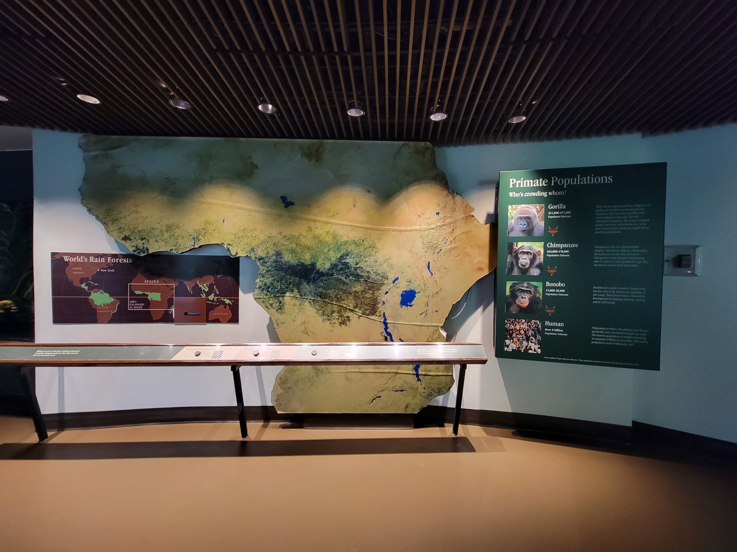 Bronx - Congo, Primate Populations