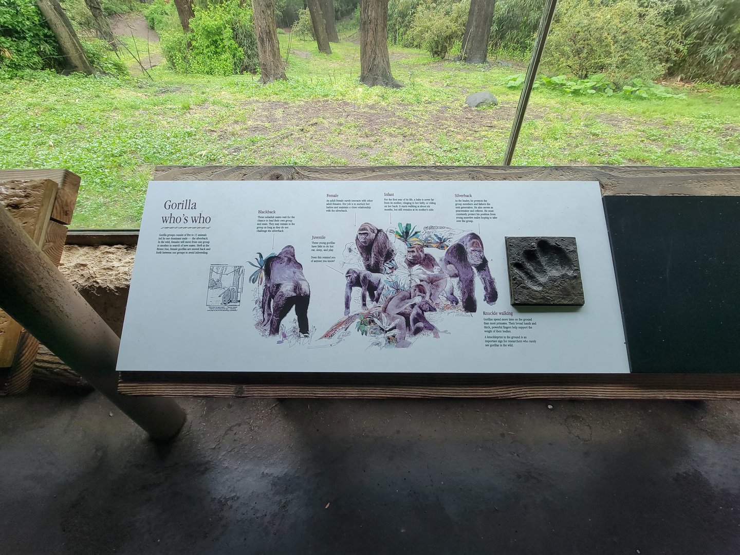 Bronx - Congo, signage in "Forest Edge View" (not part of the extra fee area)