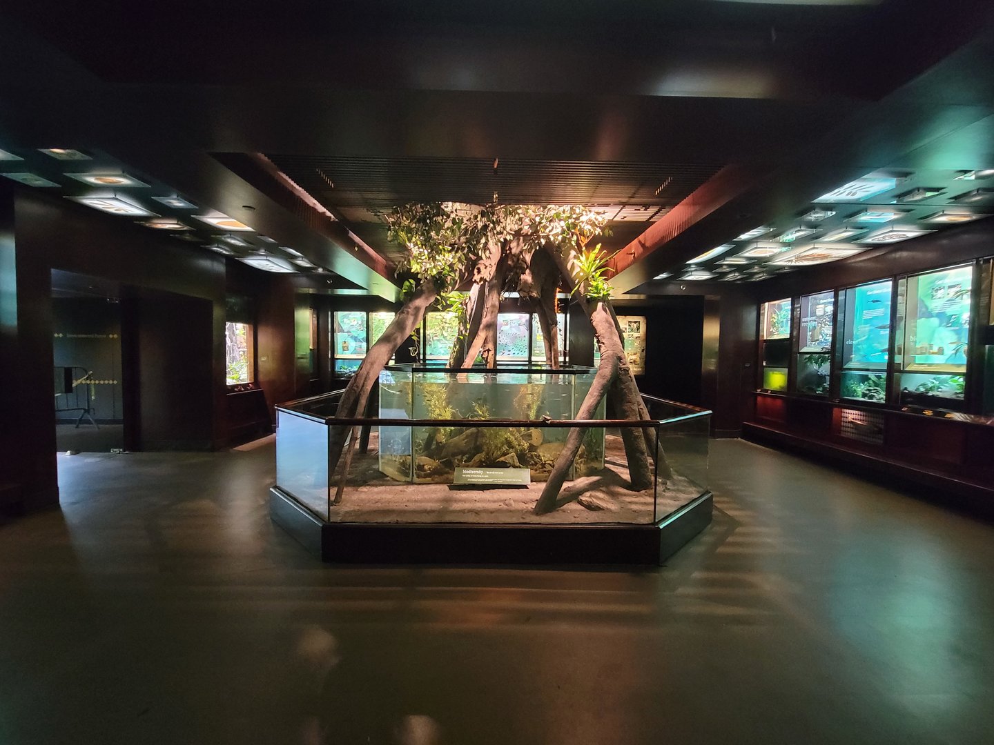 Bronx - Congo, view inside building, first rotunda