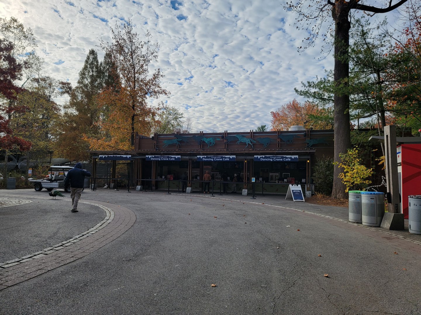 Bronx - Dancing Crane Cafe ordering windows