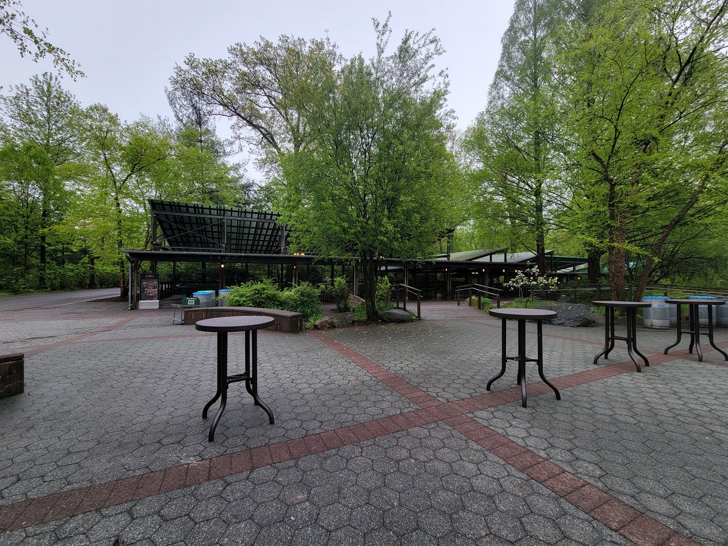 Bronx - Dancing Crane Cafe outdoor seating