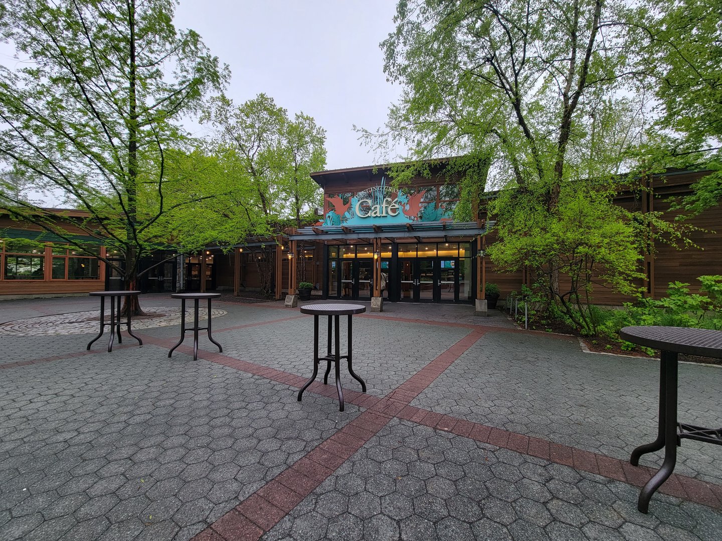 Bronx - Dancing Crane Cafe