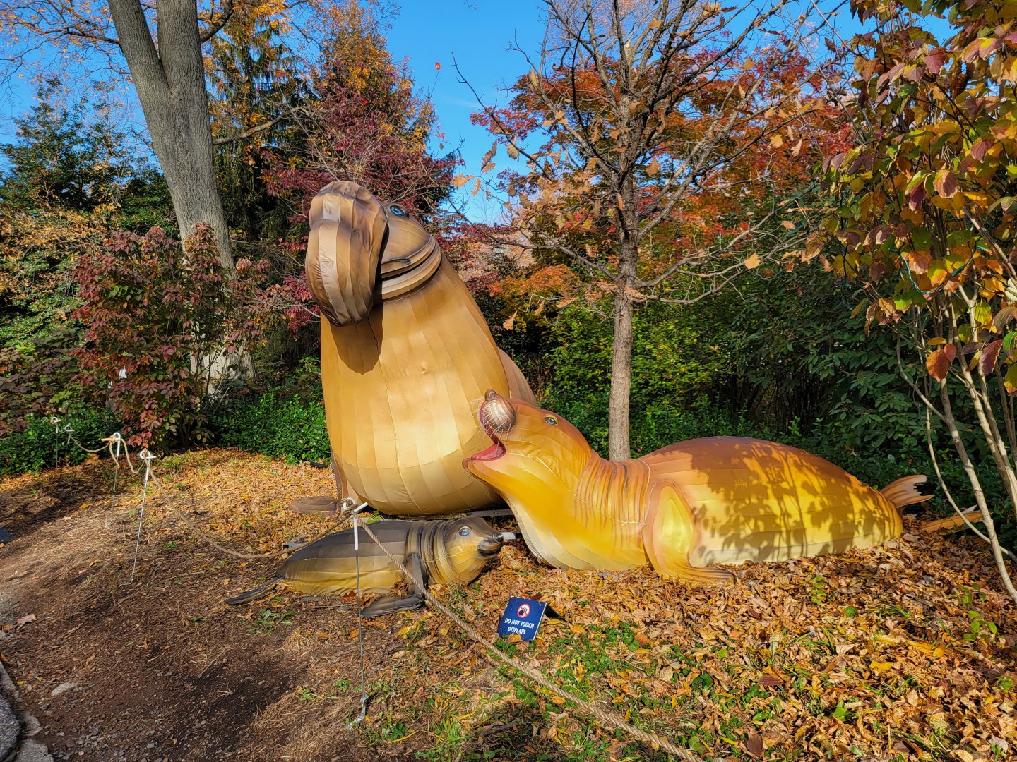 Bronx - Elephant Seal holiday lights