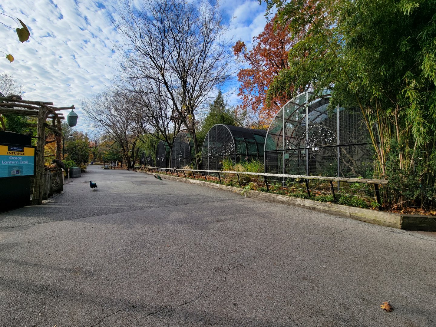 Bronx - Exhibits outside mouse house