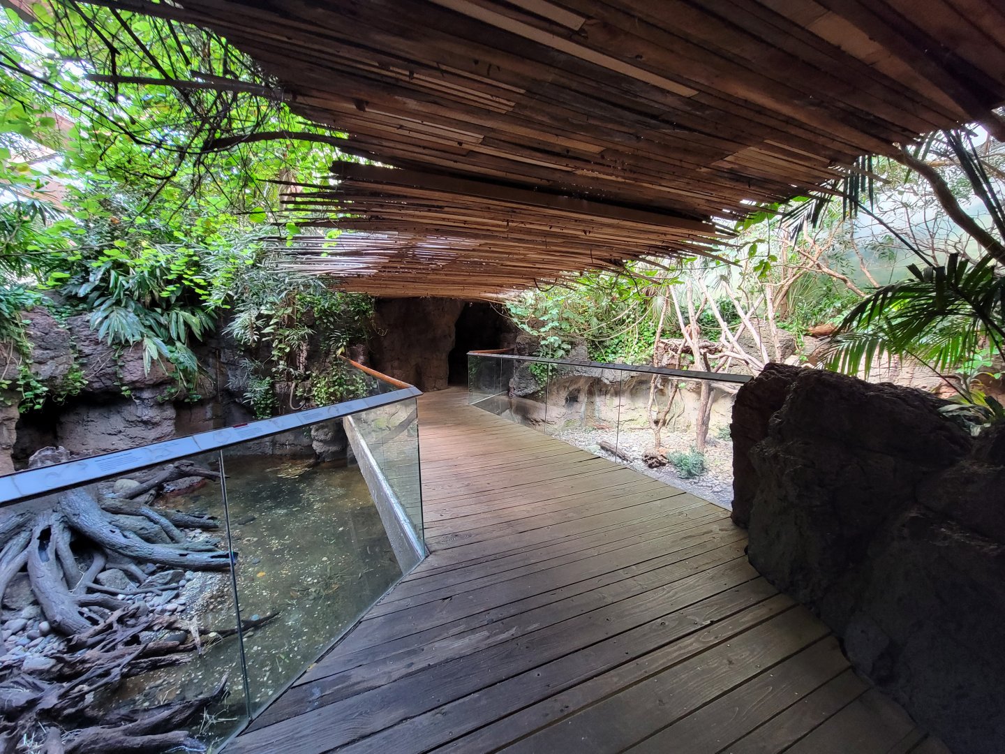 Bronx - JW - Asian Small-Clawed Otter, Asian Brown Tortoise (both sides), Matschie's Tree Kangaroo (right)
