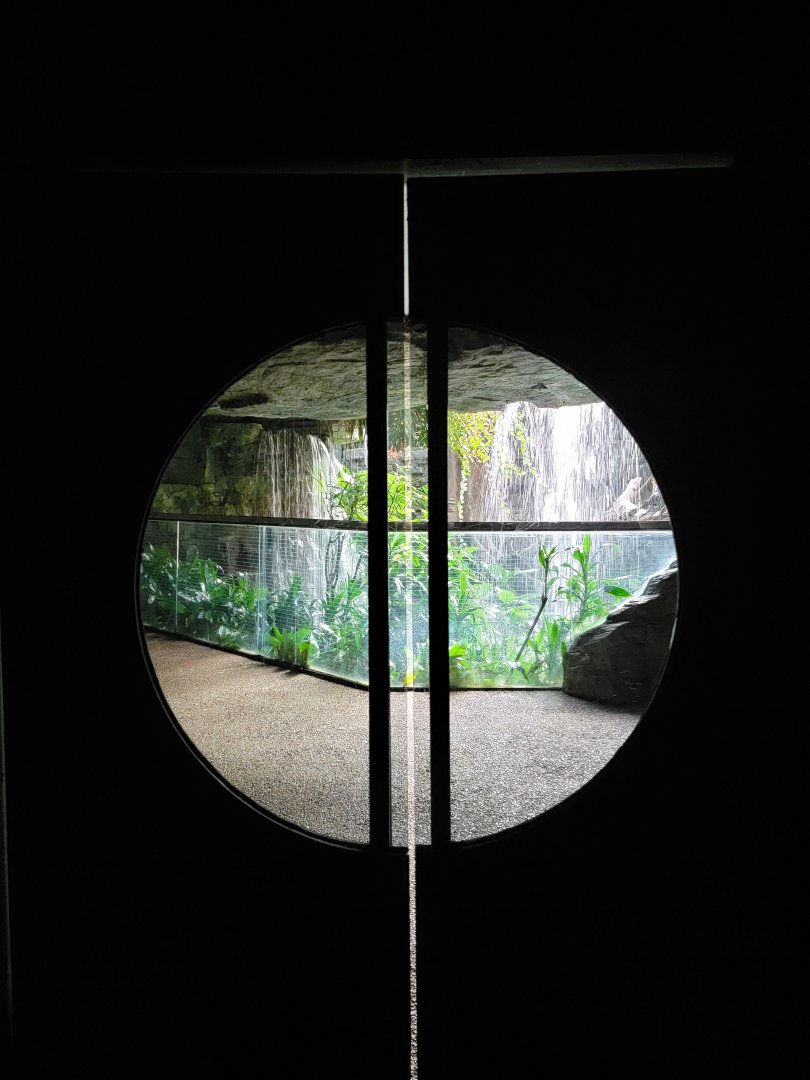 Bronx - JW - Doors back to the rainforest