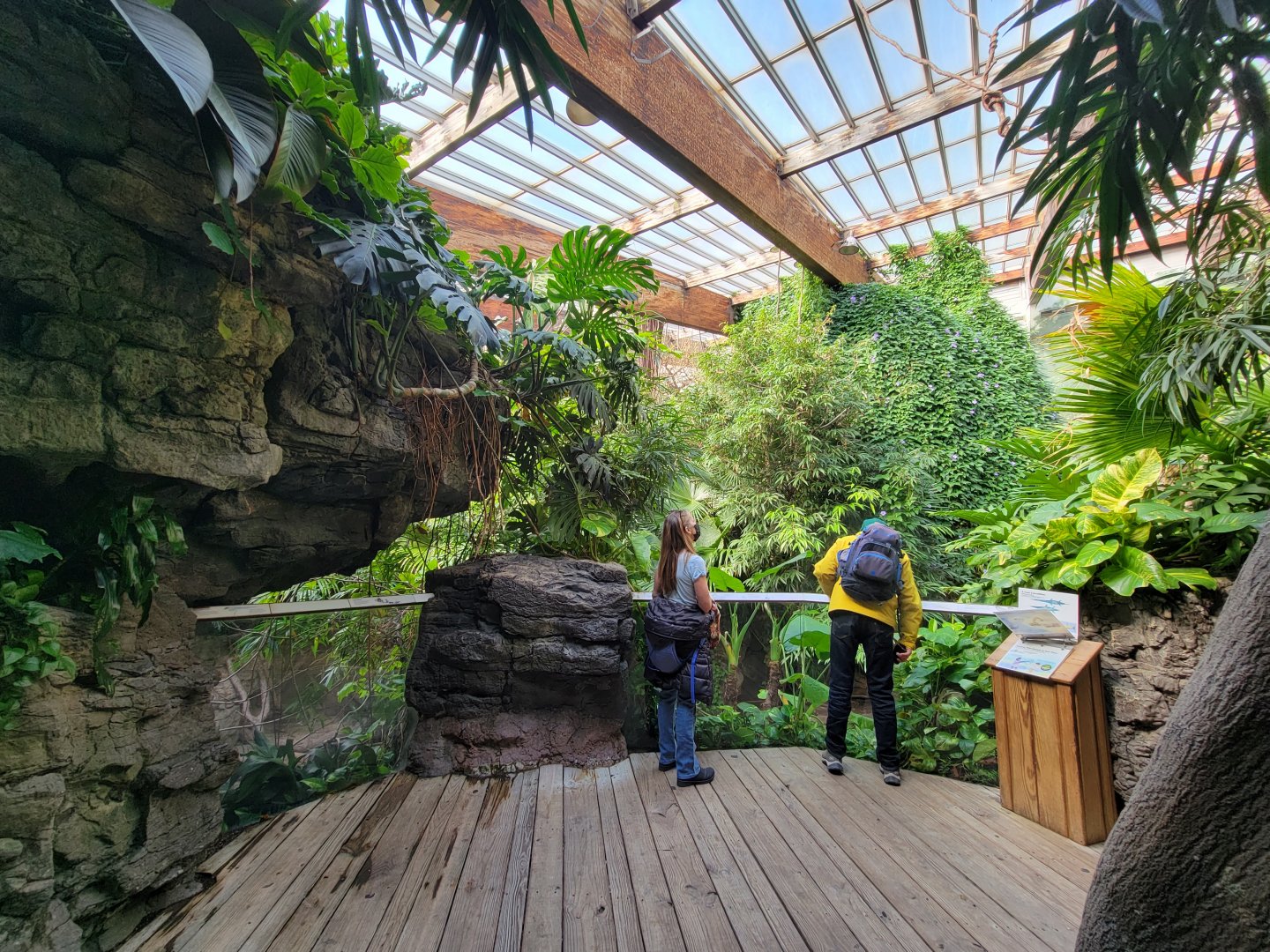 Bronx - JW - First Gharial viewing platform