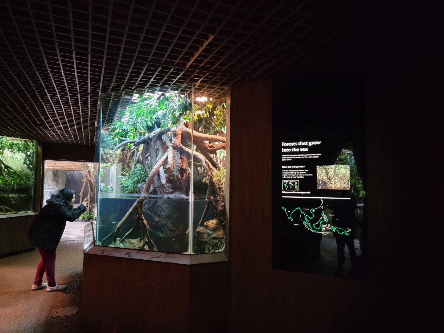 Bronx - JW - First herp section