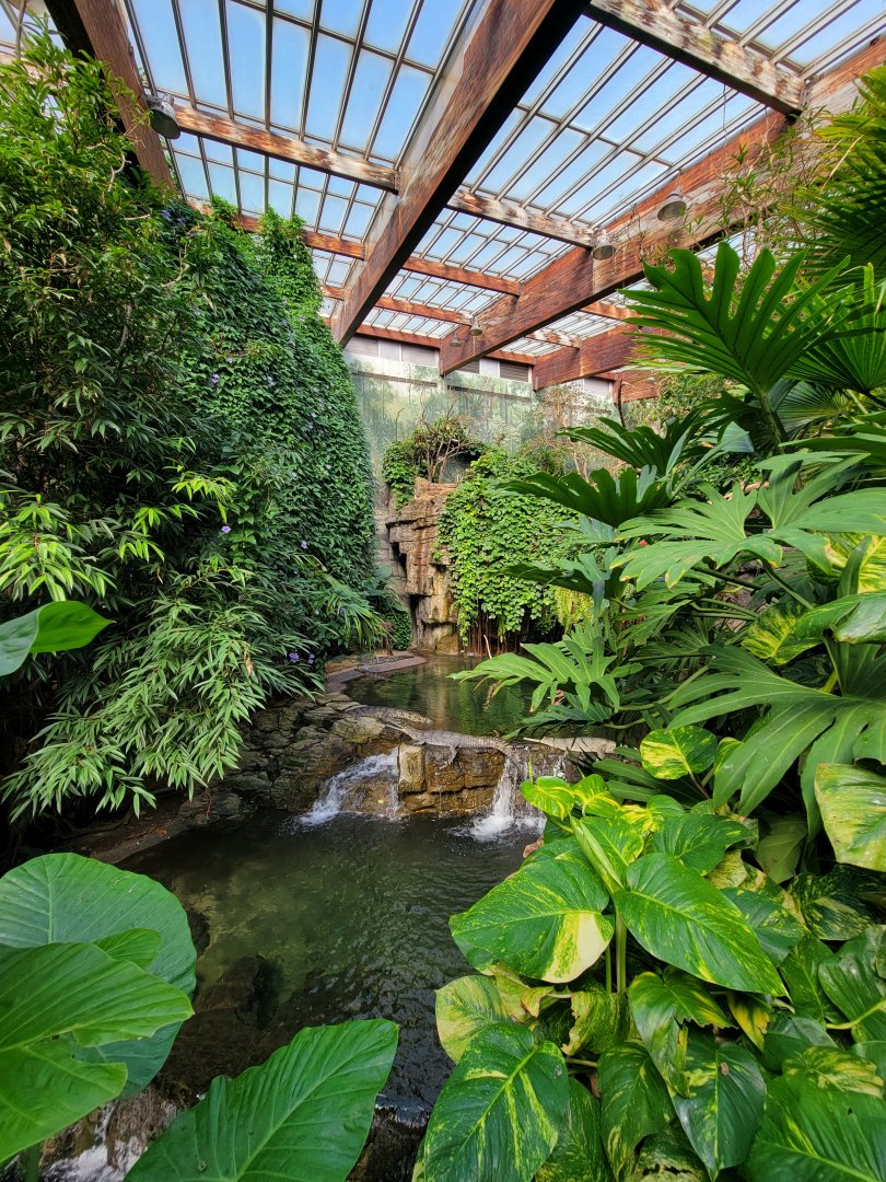 Bronx - JW - Gharials