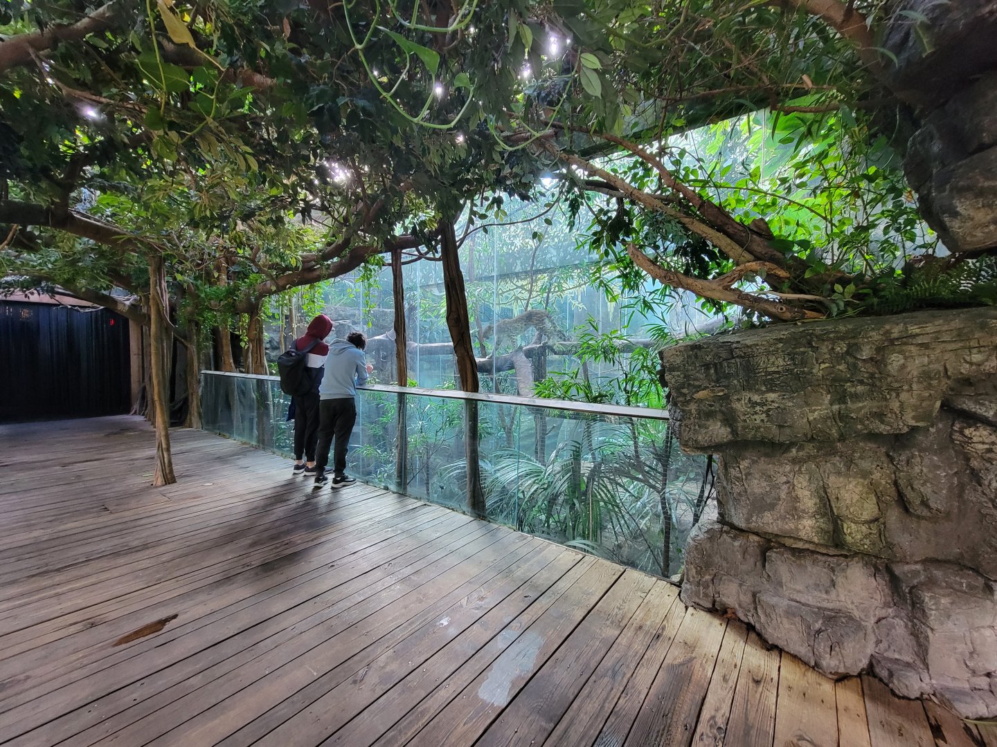 Bronx - JW - Leopard