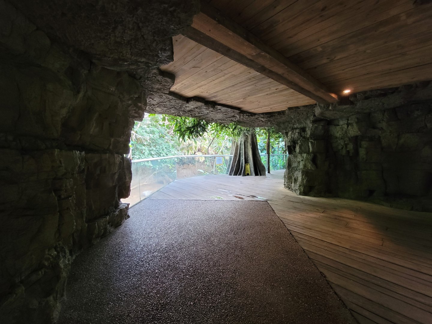 Bronx - JW - Malayan Tapir viewing