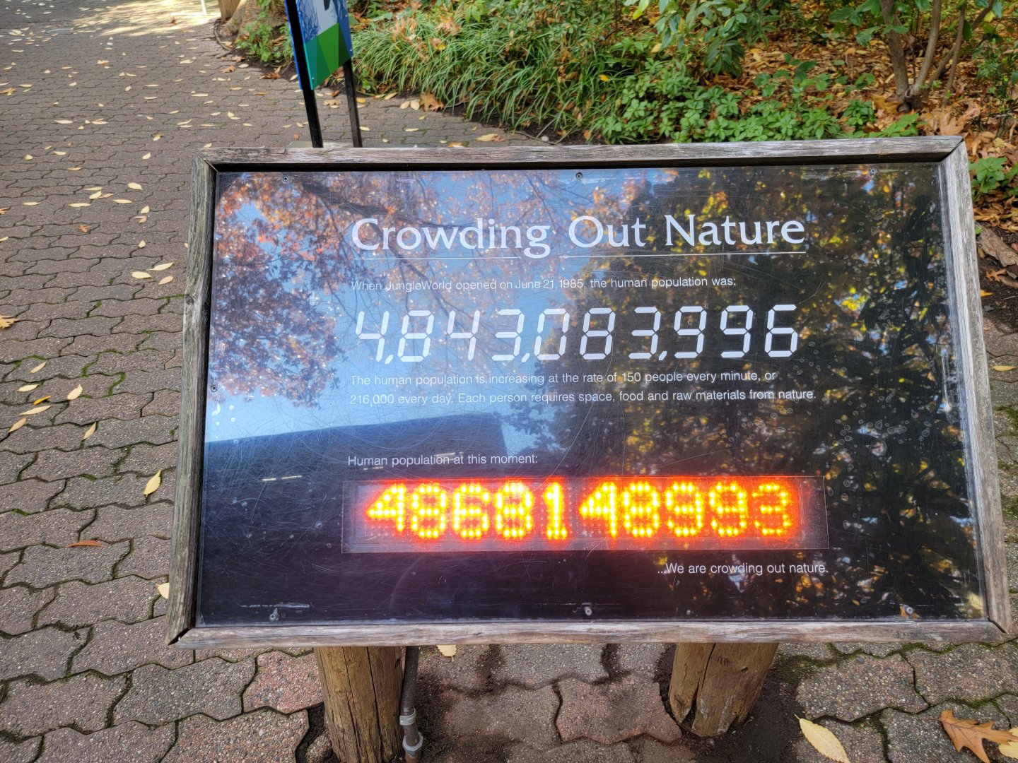 Bronx - JW - Not working again?