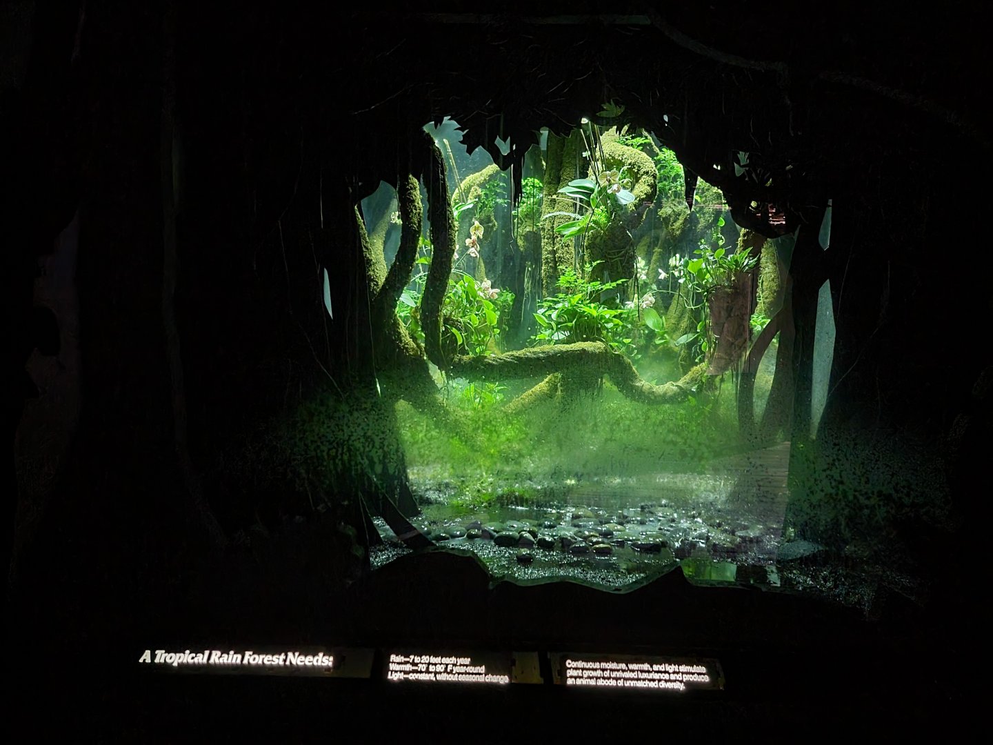 Bronx - JW - Rain simulation