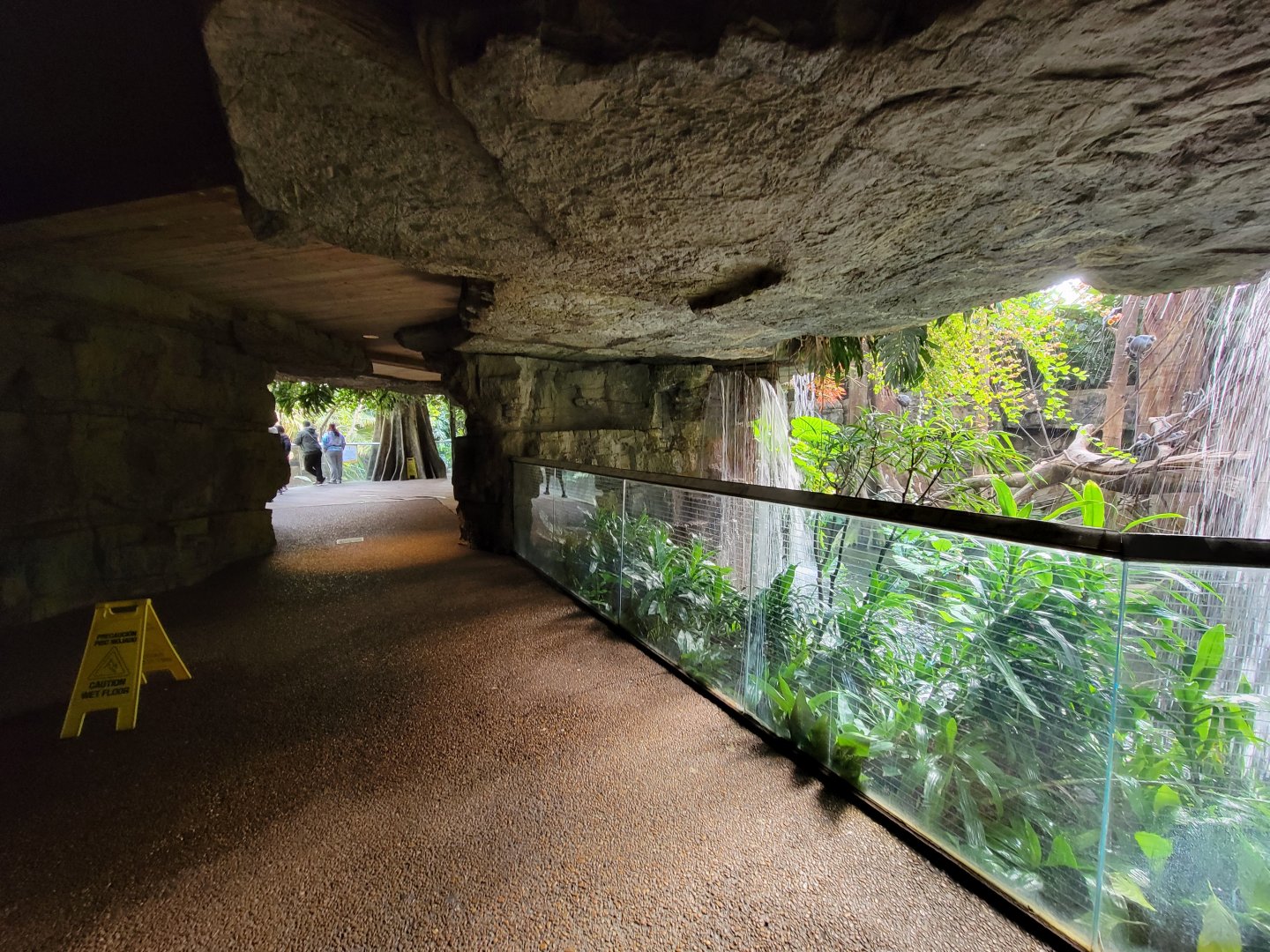 Bronx - JW - Silver Leaf Monkey