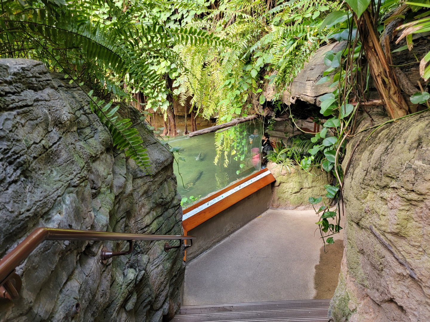 Bronx - JW - Viewing window