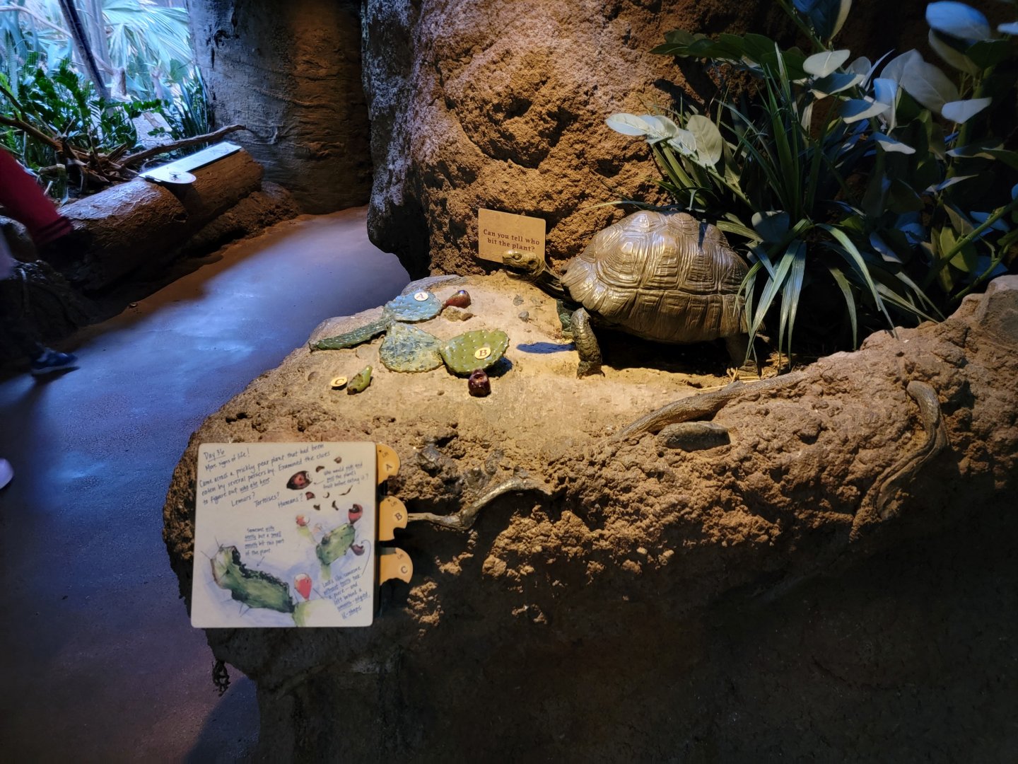 Bronx - Madagascar - Decor