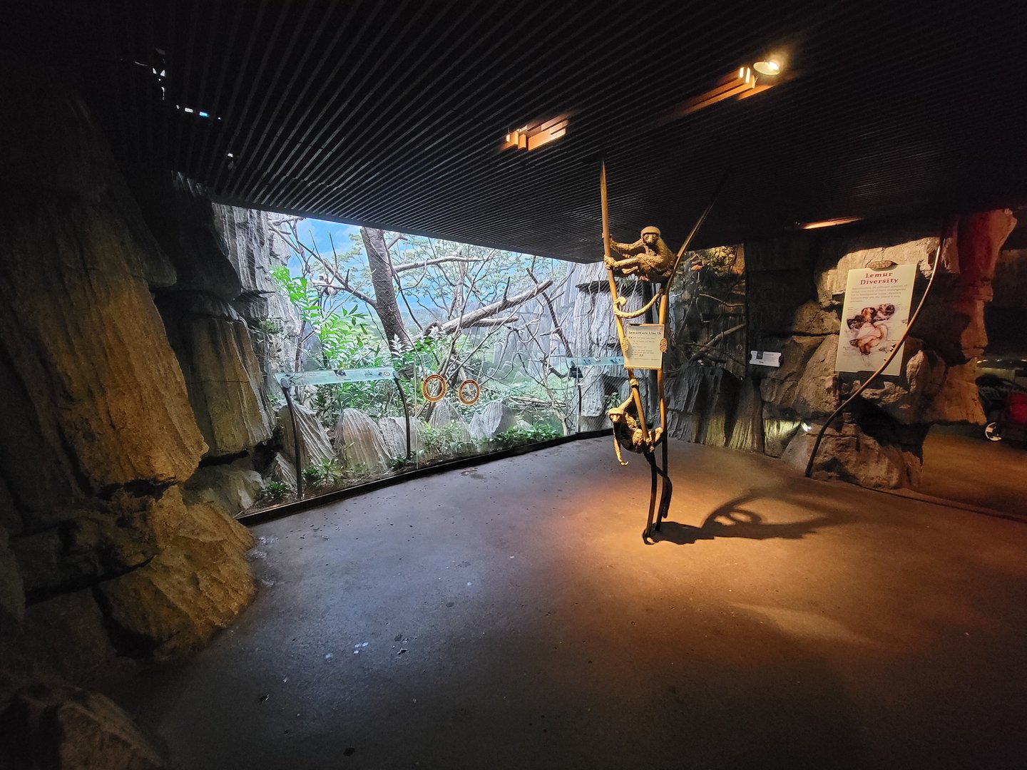 Bronx - Madagascar, inside entrance, Coquerel's sifaka