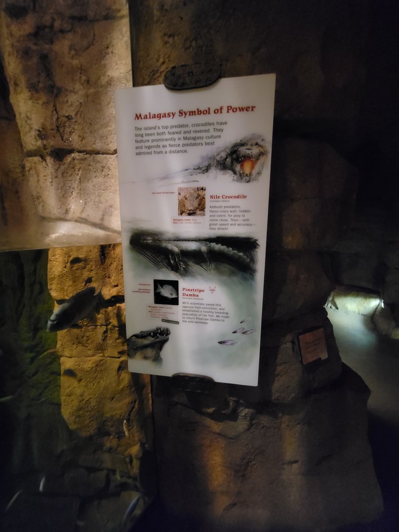 Bronx - Madagascar, Nile crocodile signage