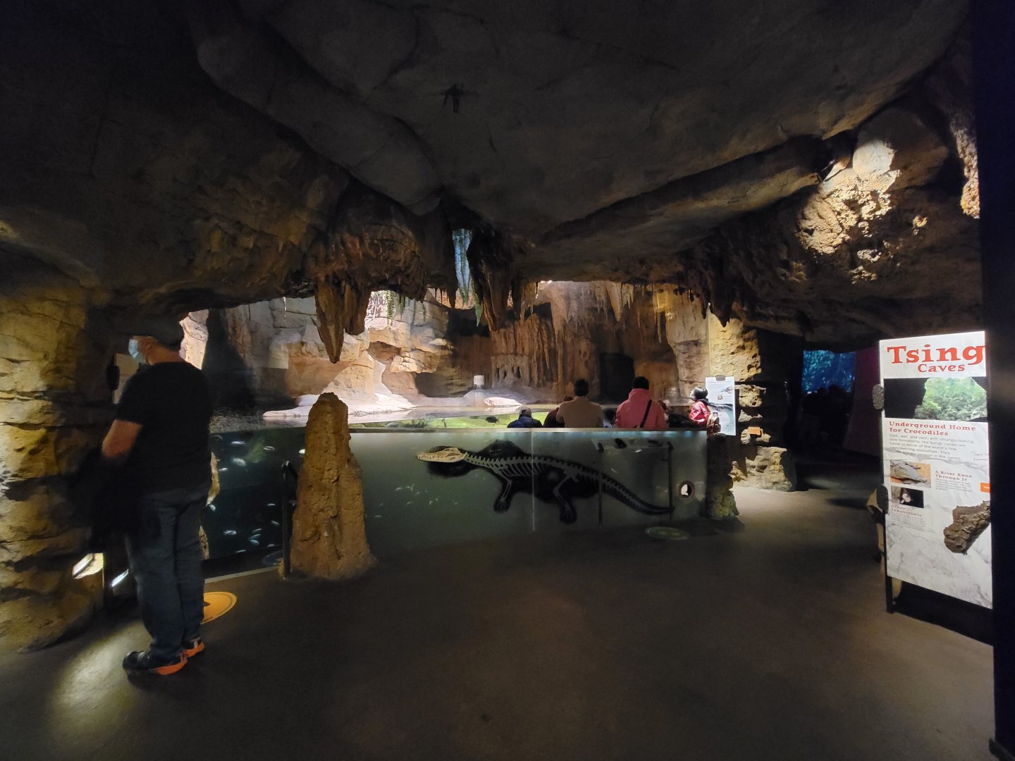 Bronx - Madagascar - Nile crocodile