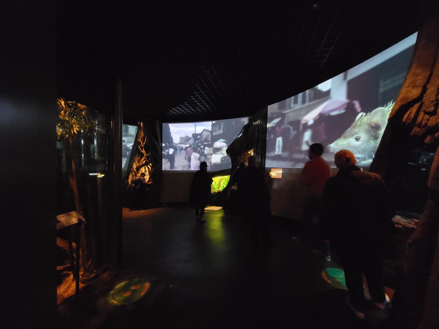 Bronx - Madagascar - Nocturnal area