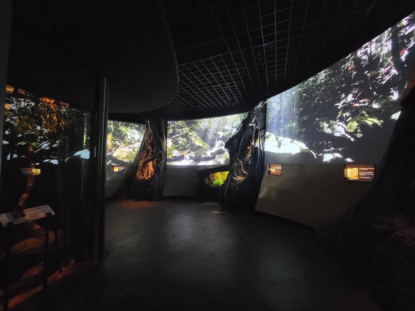 Bronx - Madagascar, nocturnal room after Nile croc