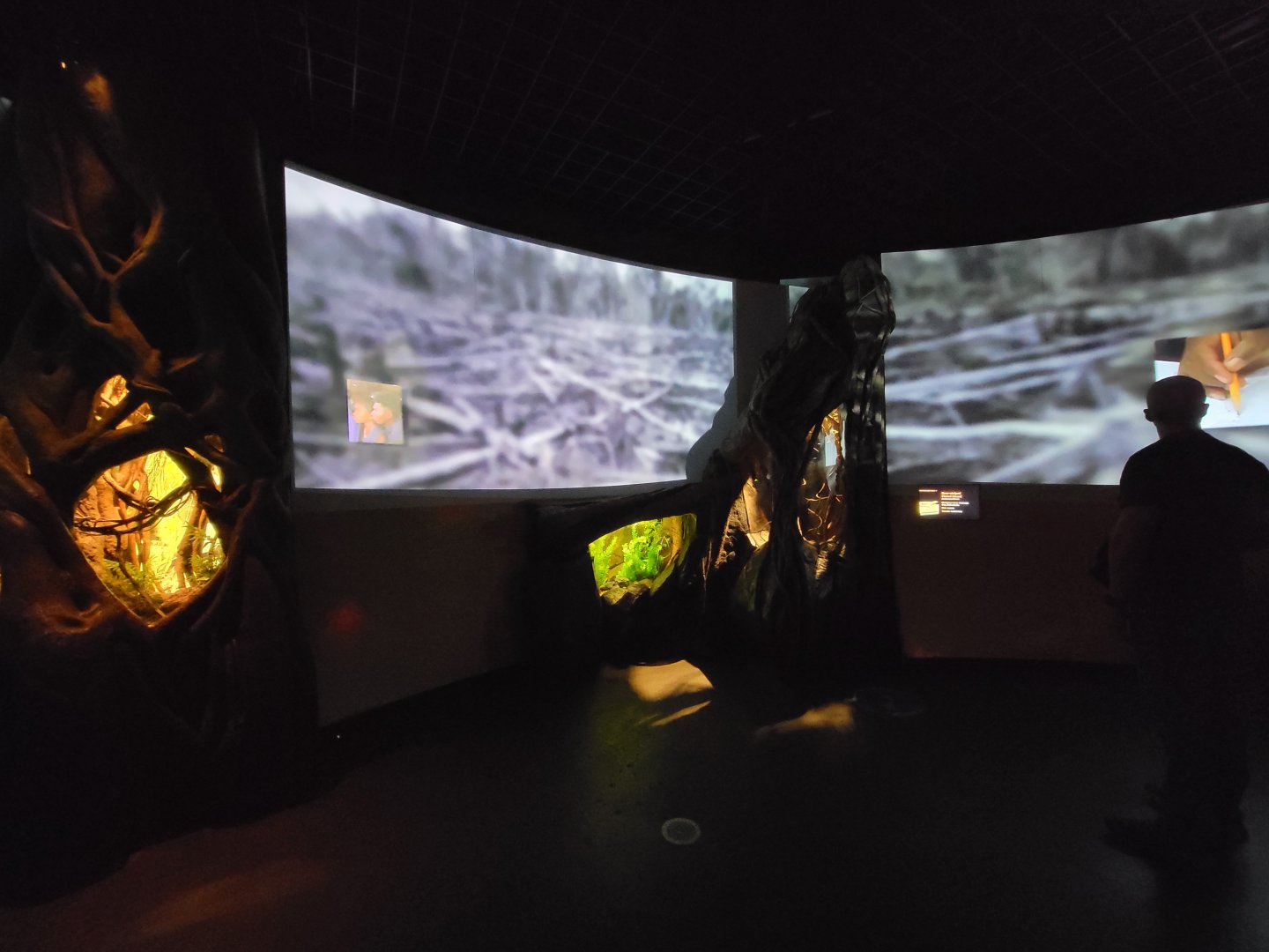 Bronx - Madagascar - Nocturnal room