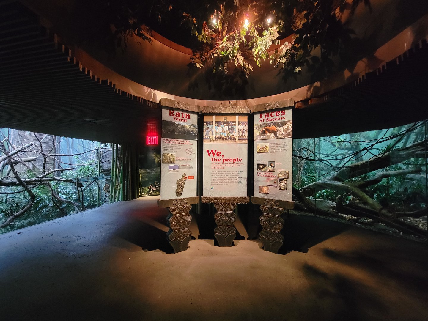 Bronx - Madagascar, Rainforest