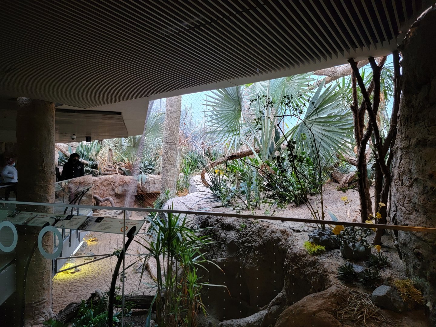 Bronx - Madagascar - Right end of main exhibit