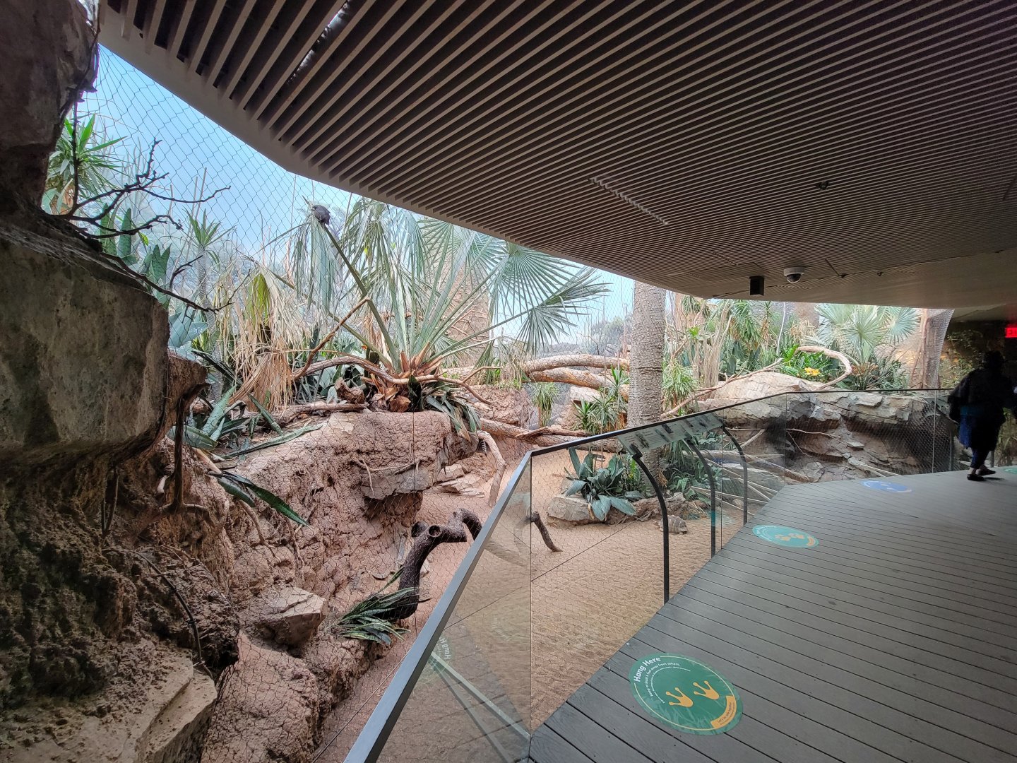 Bronx - Madagascar - Ring-tailed lemur, etc