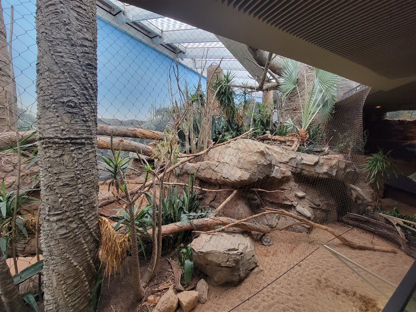 Bronx - Madagascar, Spiny Forest