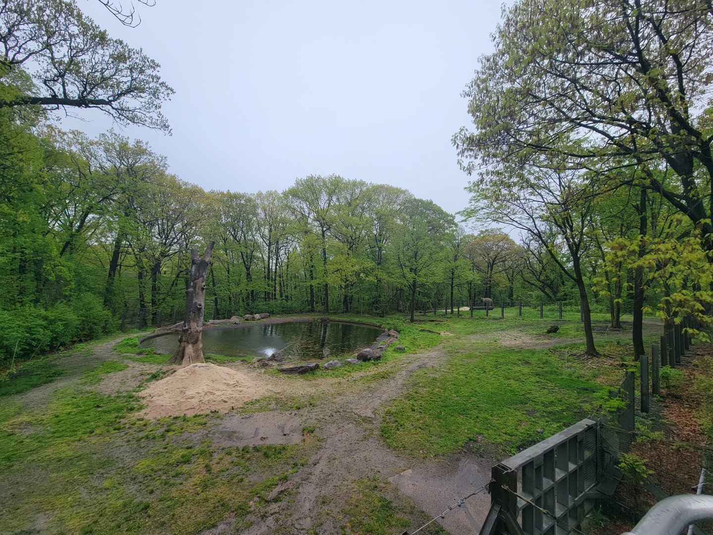 Bronx - Monorail, Elephant pool area