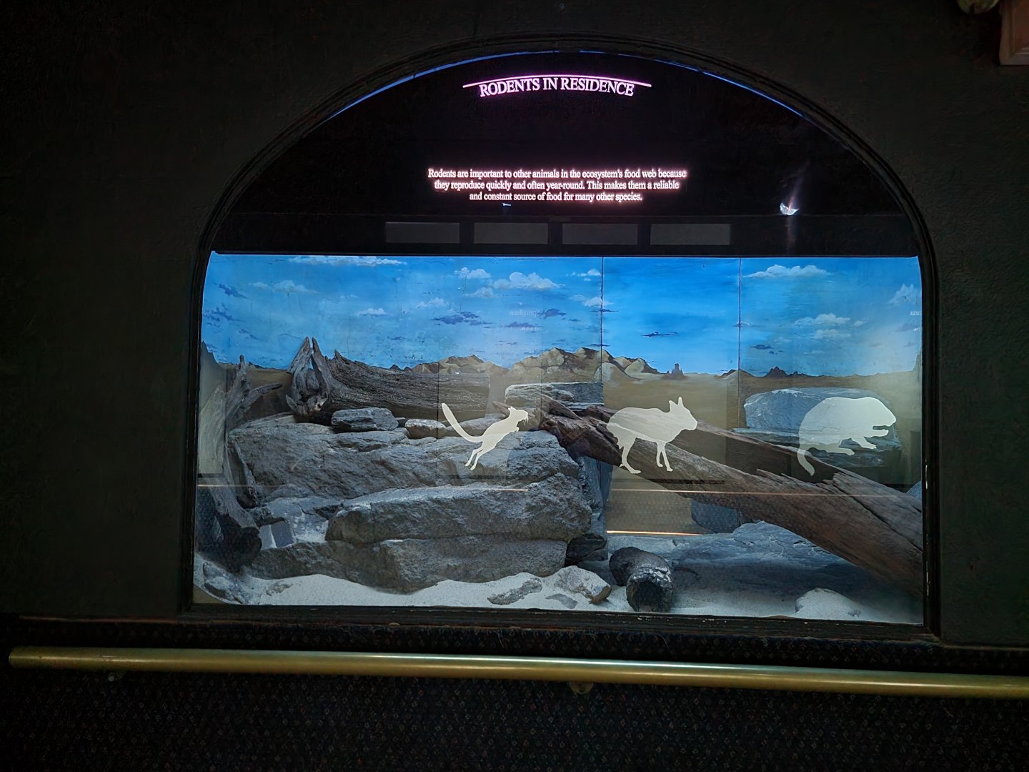 Bronx - Mouse House - Empty exhibit