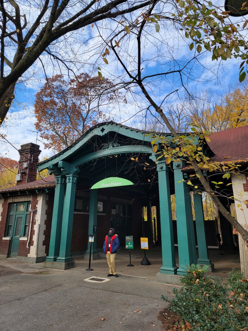 Bronx - Mouse House - Entrance