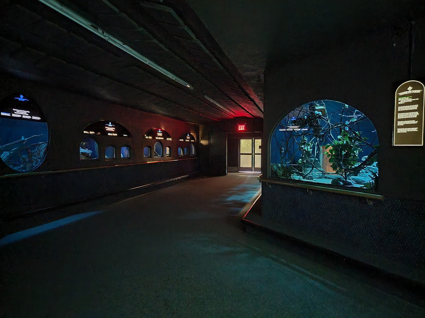 Bronx - Mouse House - Nocturnal exhibits