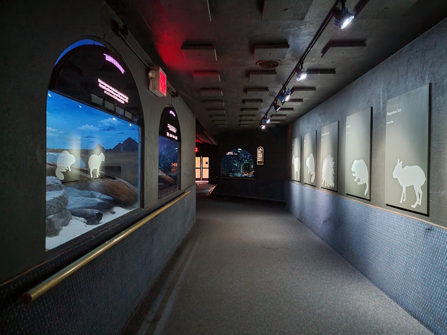 Bronx - Mouse House - Start of nocturnal exhibits