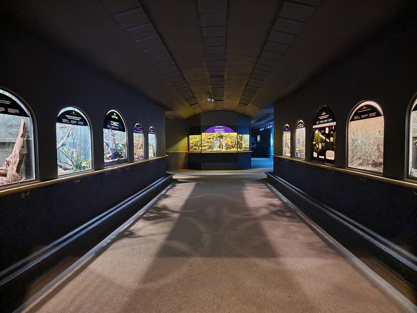 Bronx - Mouse House - View inside entrance