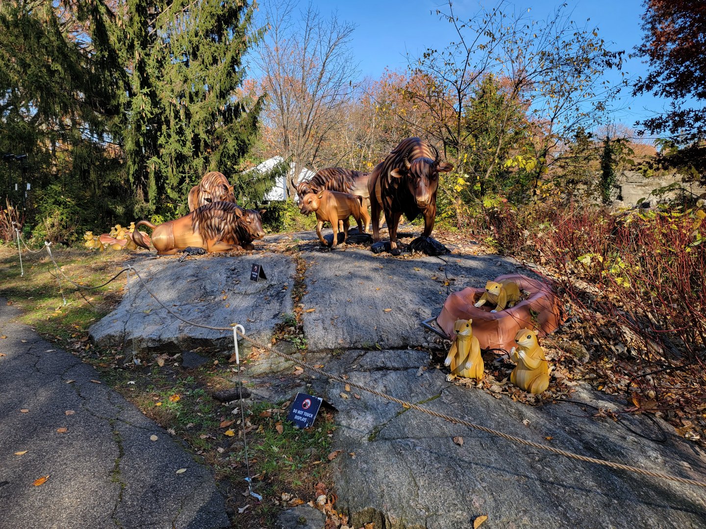 Bronx - Native species holiday lights