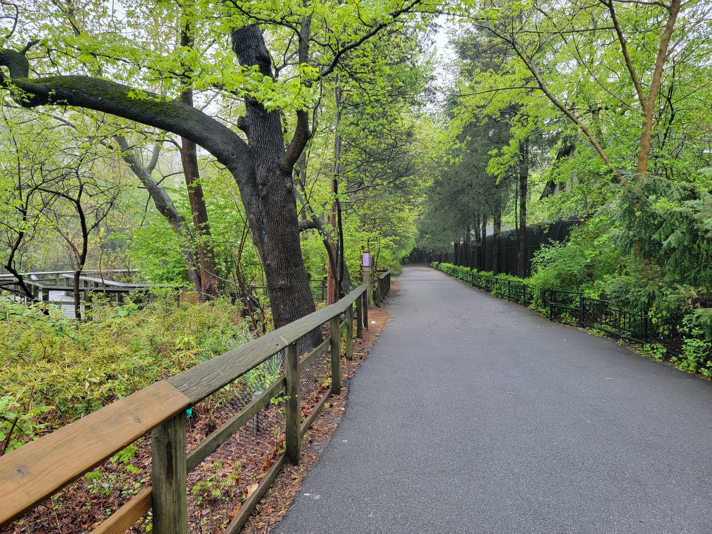 Bronx - Path along Pheasantry