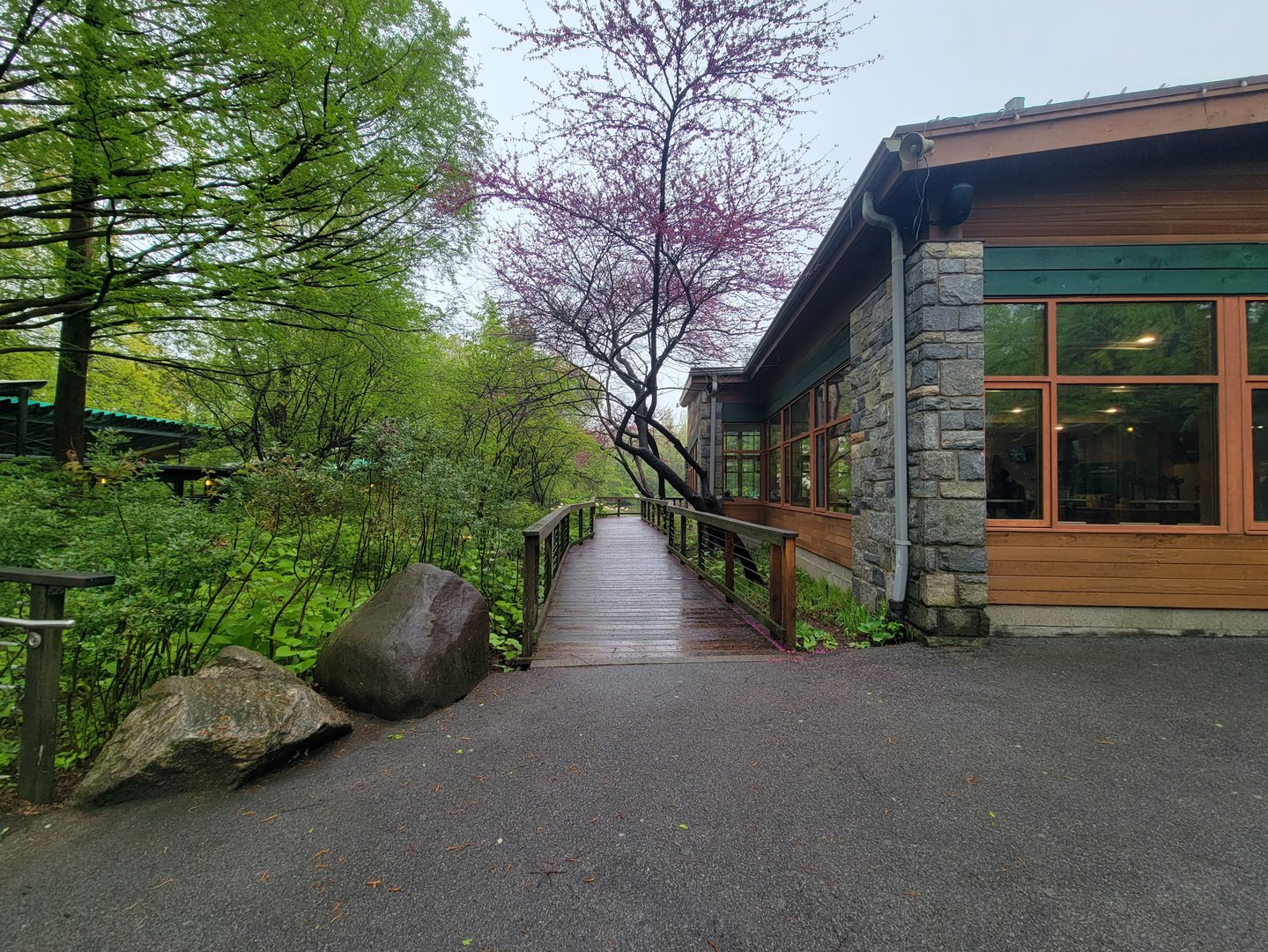 Bronx - path to the left of Dancing Crane Cafe, goes to flamingos, pheasantry, Congo