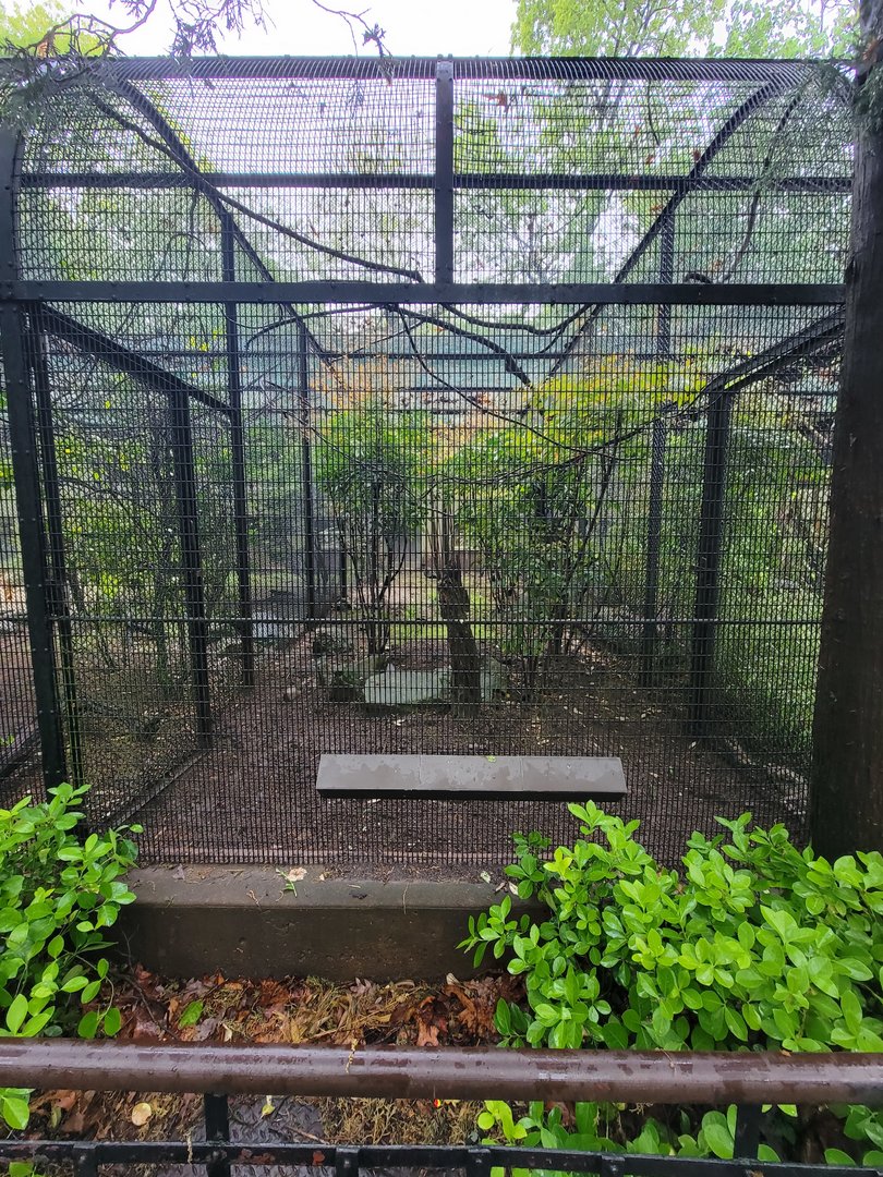 Bronx - Pheasantry, another empty exhibit